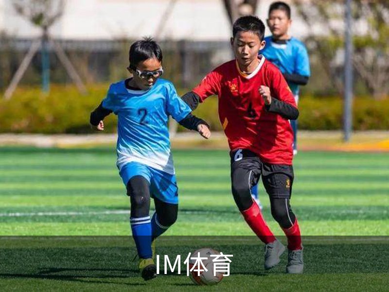 IM体育概况